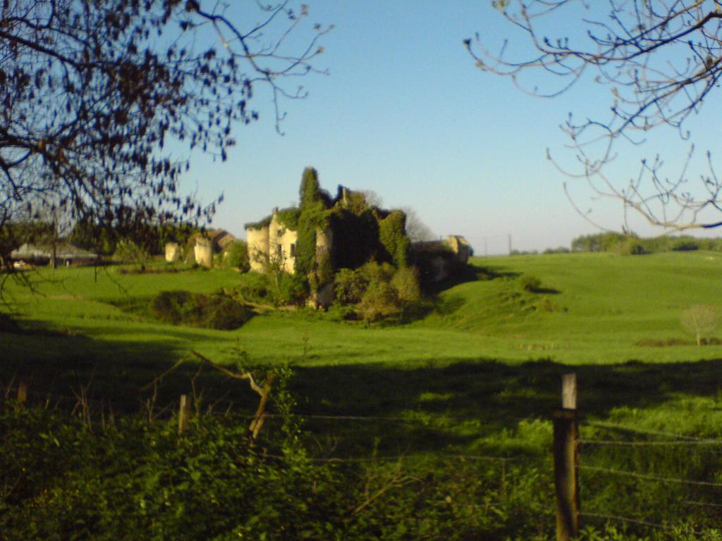 Saint-Péreuse Les Champysゲストハウス エクステリア 写真